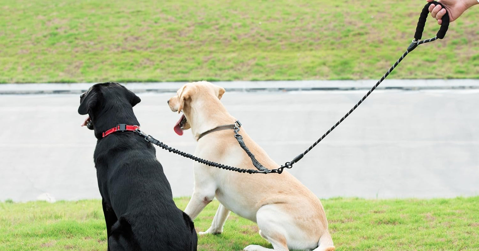 Dual Dog Leash – 360° Swivel No-Tangle Double Leash with Shock-Absorbing Bungee for Two Large Dogs (25–150 lbs, Black)