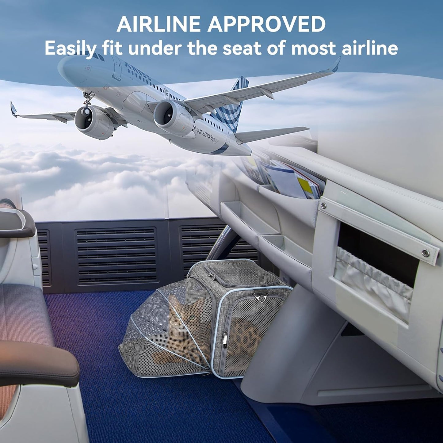 Expandable Cat & Small Dog Travel Carrier – Portable & Airline Approved