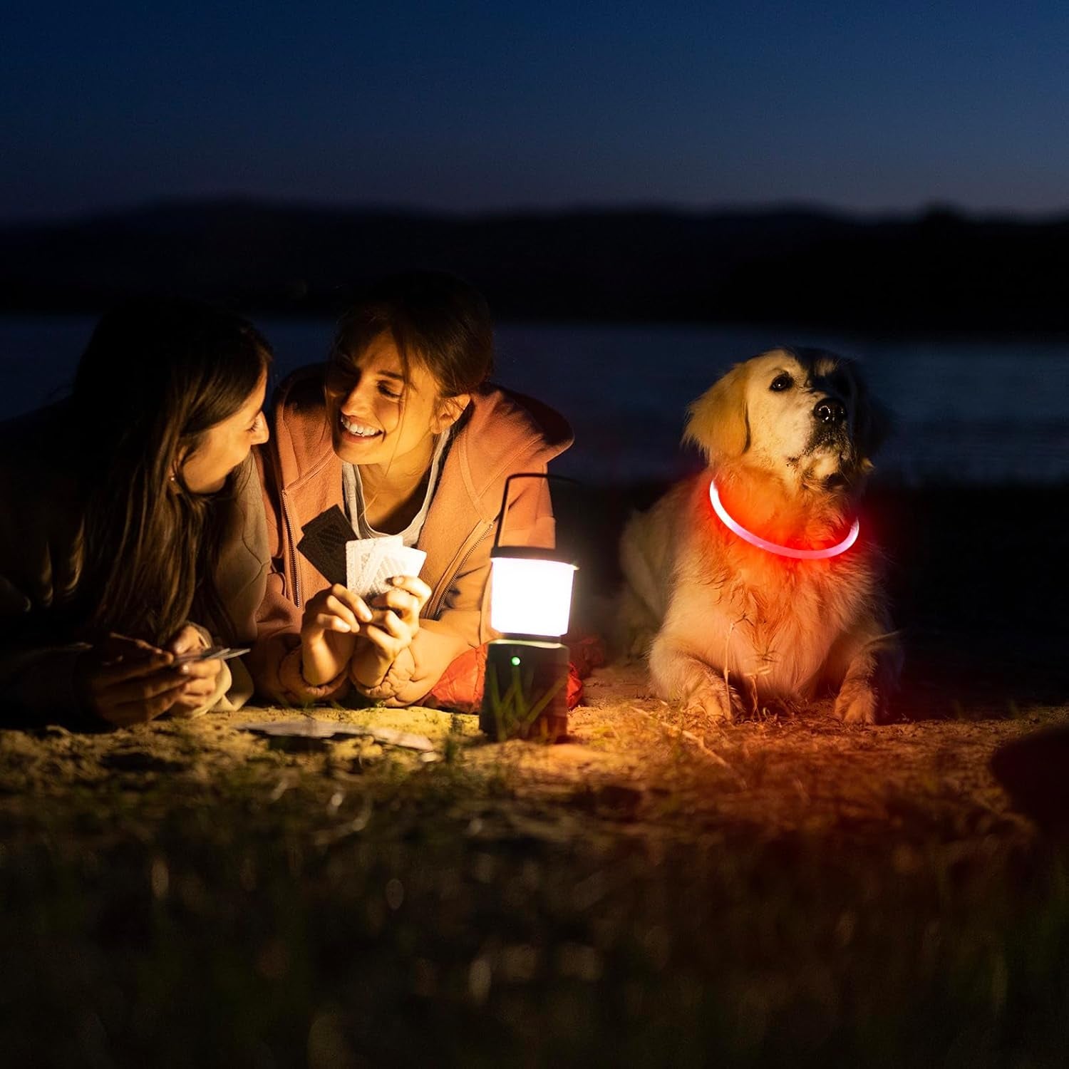 LED Dog Collar Light (Red) – USB Rechargeable for Night Safety