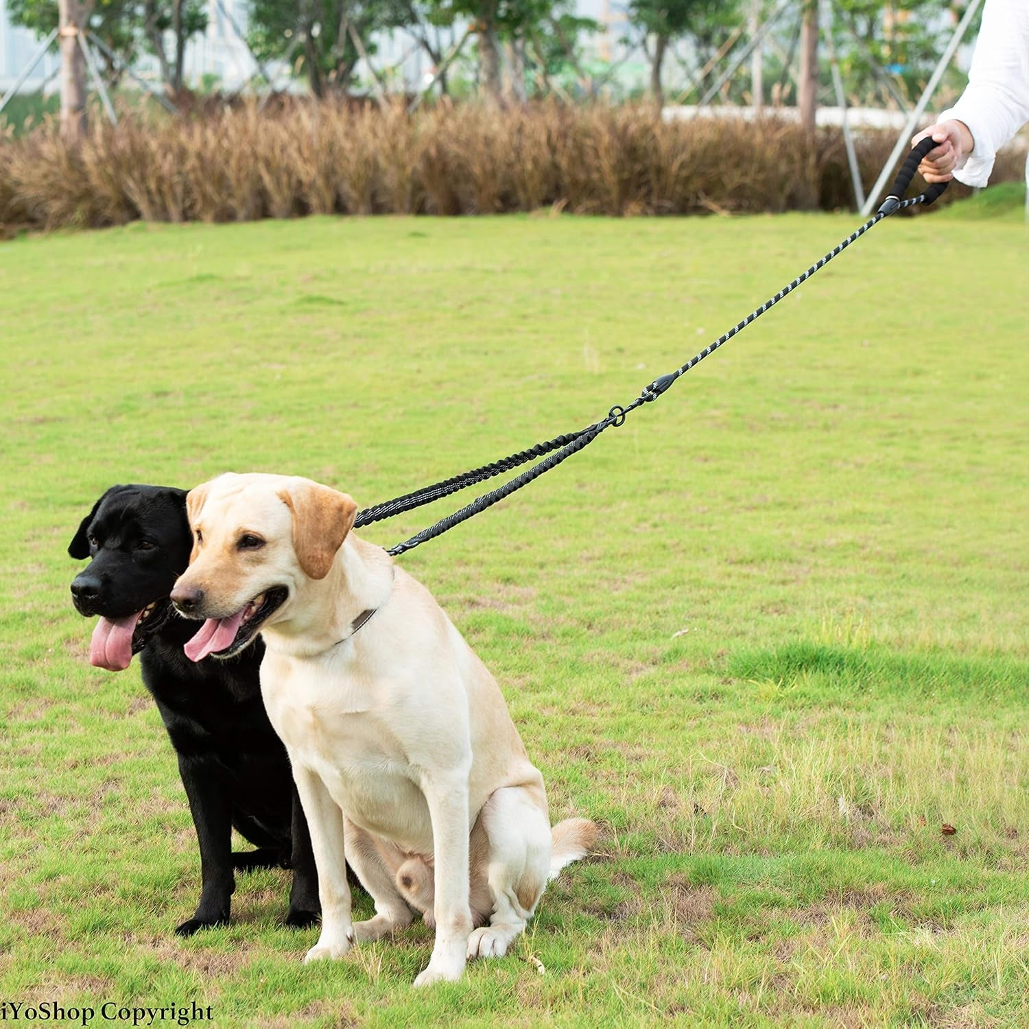 Dual Dog Leash – 360° Swivel No-Tangle Double Leash with Shock-Absorbing Bungee for Two Large Dogs (25–150 lbs, Black)