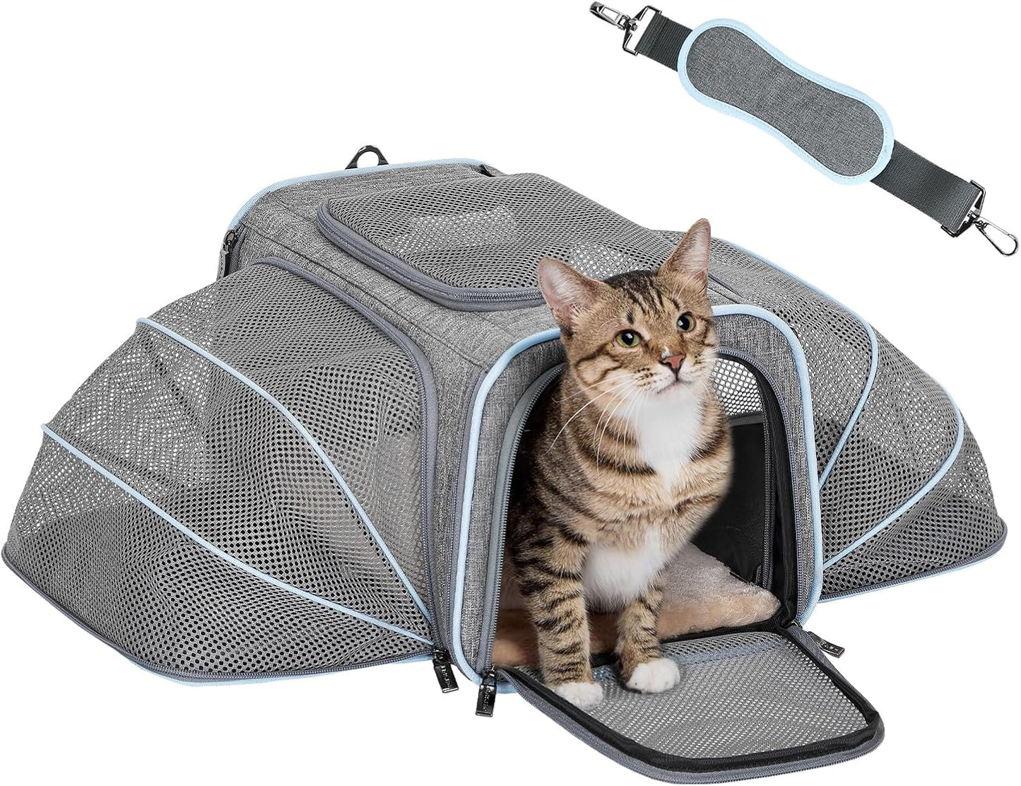 Expandable Cat & Small Dog Travel Carrier – Portable & Airline Approved