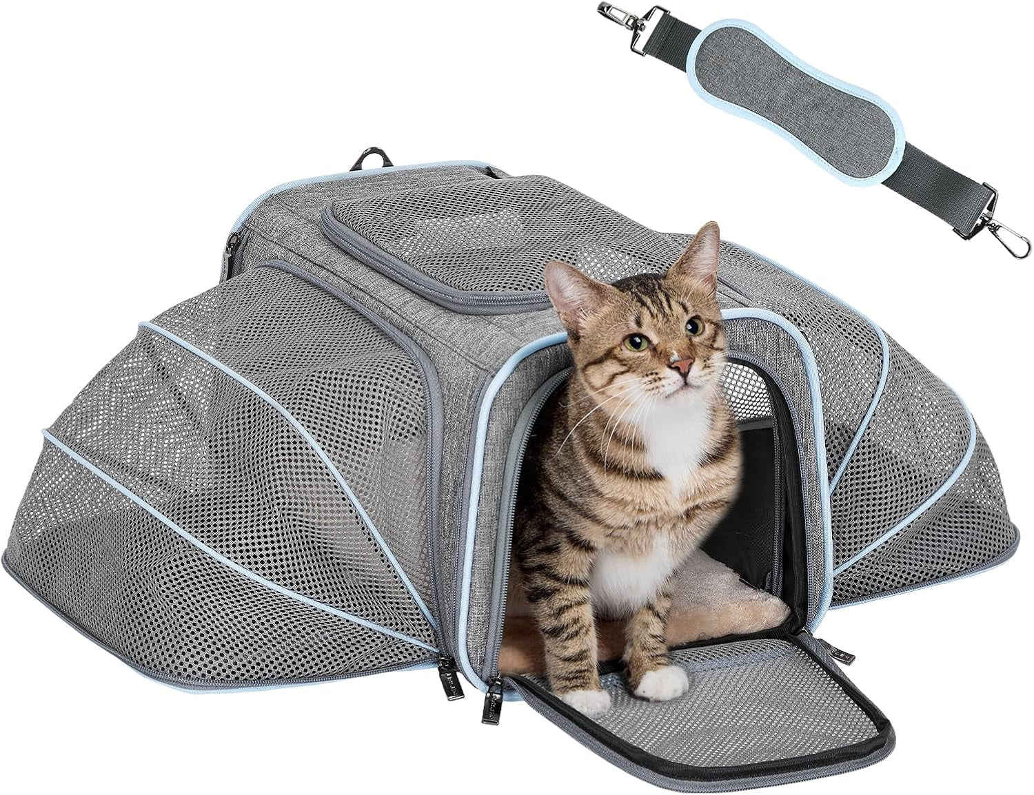 Expandable Cat & Small Dog Travel Carrier – Portable & Airline Approved