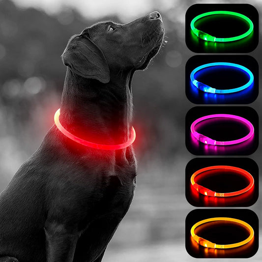 LED Dog Collar Light (Red) – USB Rechargeable for Night Safety
