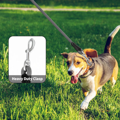 Genuine Leather Dog Leash with Heavy-Duty Clasp, 5FT Rope for Small to Large Dogs (Gray)
